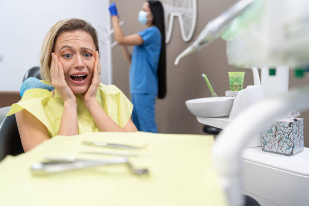Best Broken or Chipped Tooth Repair in Severance, CO